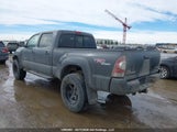 Toyota Tacoma V6 5TEMU52N19Z658807 fotografie