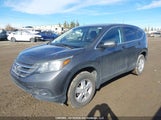 Honda Cr-V Lx 2HKRM4H36EH103712 снимка