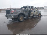 Ford F-150 Xlt 1FTFW1EF8EKG12907 снимка