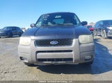 Ford Escape Xlt 1FMYU04132KB11543 снимка