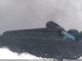Hyundai Santa Fe KM8SNDHF5KU301557 снимка