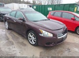 Nissan Maxima S/Sv 1N4AA5AP2EC491032 снимка