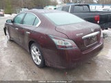 Nissan Maxima S/Sv 1N4AA5AP2EC491032 снимка