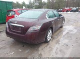 Nissan Maxima S/Sv 1N4AA5AP2EC491032 снимка