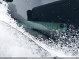 Ford Fiesta Se 3FADP4BJ4FM185174 снимка