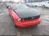 Ford Mustang 1ZVFT80N975340950 снимка