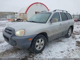 Hyundai Santa Fe Gl KM8SB73D15U902338 снимка