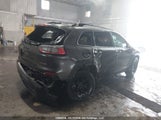 Jeep Cherokee Trailhawk 1C4PJMBX1ND530944 снимка