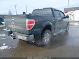 Ford F-150 1FTFW1ETXDFA76717 снимка