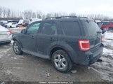 Ford Escape Xlt Automatic 1FMCU93G69KA31197 снимка