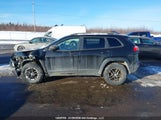 Jeep Cherokee Trailhawk 1C4PJMBS2GW223133 снимка