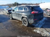 Jeep Cherokee Trailhawk 1C4PJMBS2GW223133 снимка