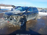 Jeep Cherokee Trailhawk 1C4PJMBS2GW223133 снимка
