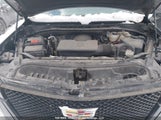 Cadillac Escalade Esv Sport 1GYS4PKL0RR343584 fotografie