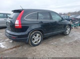 Honda Cr-V Ex 5J6RE4H56AL800764 снимка