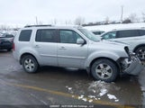 Honda Pilot Ex-L 5FNYF4H59BB502146 fotografie