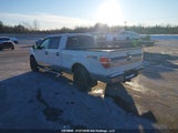 Ford F-150 Fx4/Harley-Davidson/Lariat/Xlt 1FTFW1EV0AFB72238 снимка