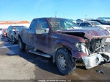 Ford F-150 Fx4/Lariat/Svt Raptor/Xl/Xlt 1FTVX1EV3AKC35803 fotografie