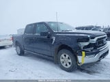 Ford F150 Supercrew 1FTEW1EB5NFB62697 снимка