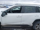 Toyota Rav4 Xle/Woodland Edition 2T3RWRFV1PW171732 fotografie
