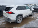 Toyota Rav4 Xle/Woodland Edition 2T3RWRFV1PW171732 fotografie