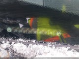 Honda Civic Dx-G 2HGFG12376H002174 снимка