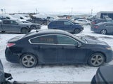 Acura Tl 19UUA9E52CA800192 снимка