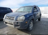 Hyundai Tucson Gl KM8JM12D46U297124 снимка