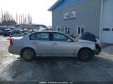Chevrolet Malibu Lt 1G1ZT51836F176894 снимка