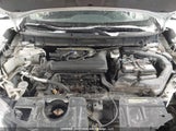 Nissan Rogue 5N1AT2MT6HC806927 снимка