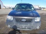 Ford Escape Xlt 1FMYU93116KB76256 снимка