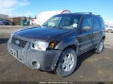 Ford Escape Xlt 1FMYU93116KB76256 снимка