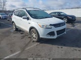Ford Escape Se 1FMCU9G94DUA43387 снимка