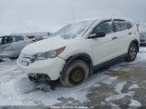 Honda Cr-V Lx 2HKRM4H37EH102567 снимка