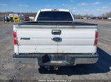 Ford F150 Supercrew 1FTFW1ET6EKF81338 снимка