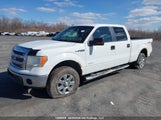 Ford F150 Supercrew 1FTFW1ET6EKF81338 снимка