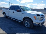 Ford F150 Supercrew 1FTFW1ET6EKF81338 снимка