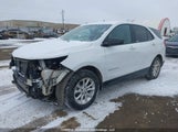 Chevrolet Equinox Ls 2GNAXREV3J6211329 снимка