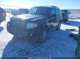 Ford Escape Xlt 1FMCU9DG7BKA16079 fotografie