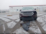 Ford Edge Sel 2FMPK4J93JBB08461 fotografie