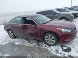 Honda Accord Ex 1HGCP26738A803434 снимка