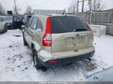 Honda Cr-V Ex 5J6RE48518L820446 снимка