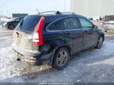 Honda Cr-V 5J6RE4H78AL800346 снимка