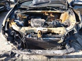 Acura Rdx 5J8TB4H3XFL801296 снимка