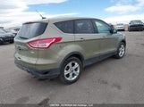Ford Escape Se 1FMCU9G94DUB18119 снимка
