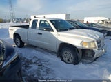 Dodge Dakota Sxt 1D3HE32K98S551880 снимка