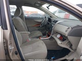 Toyota Corolla Le 2T1BU4EE6AC280202 fotografie