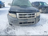Ford Escape Xls 1FMCU02Z38KC29622 снимка