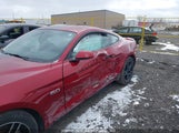 Ford Mustang Gt 1FA6P8CF0K5177311 снимка