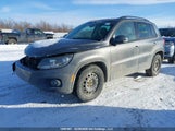 Volkswagen Tiguan Comfortline/Trendline WVGHV7AX3FW501491 снимка